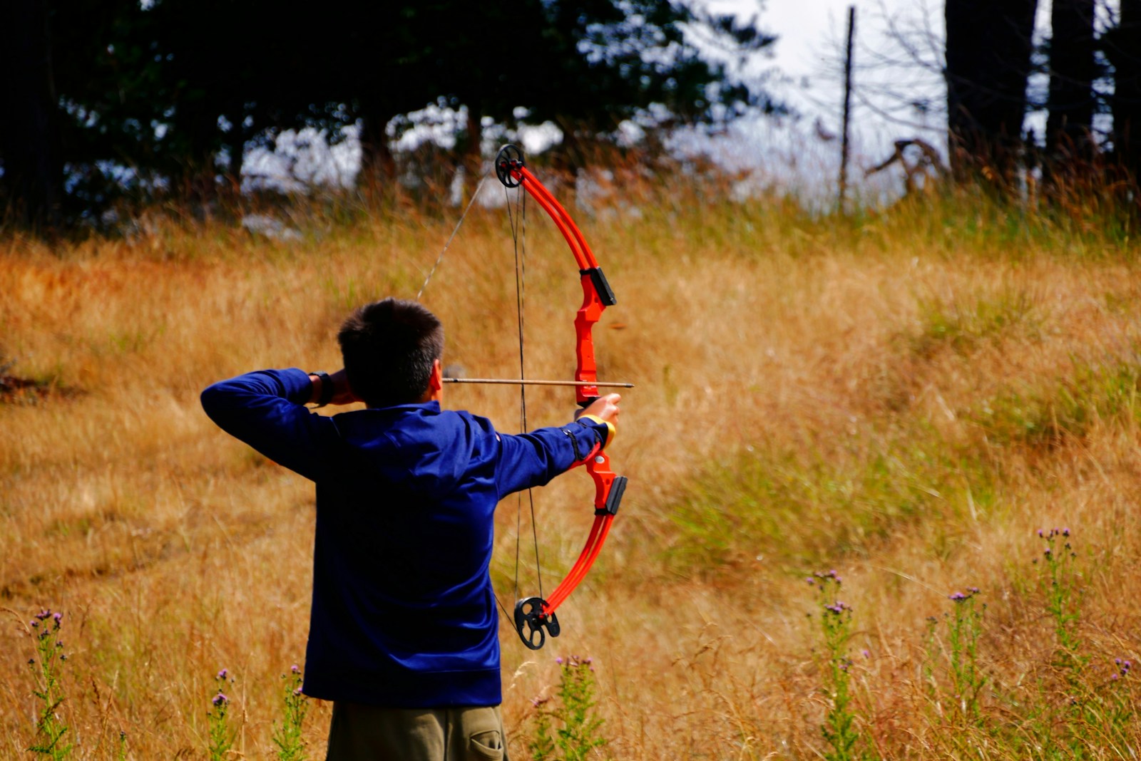 Best Budget Adult Compound Bow