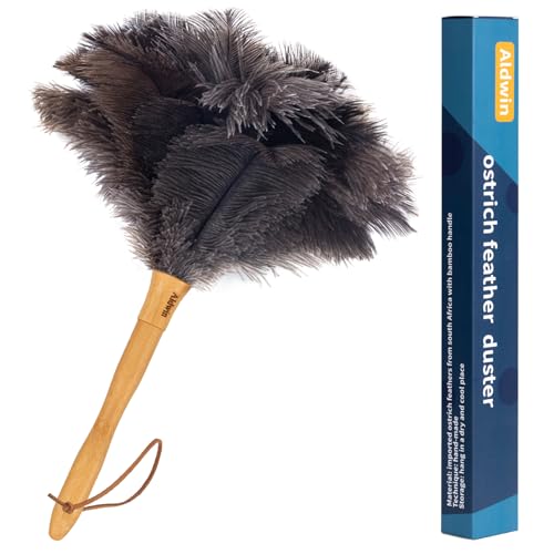 Best-Eco-Friendly-Duster/