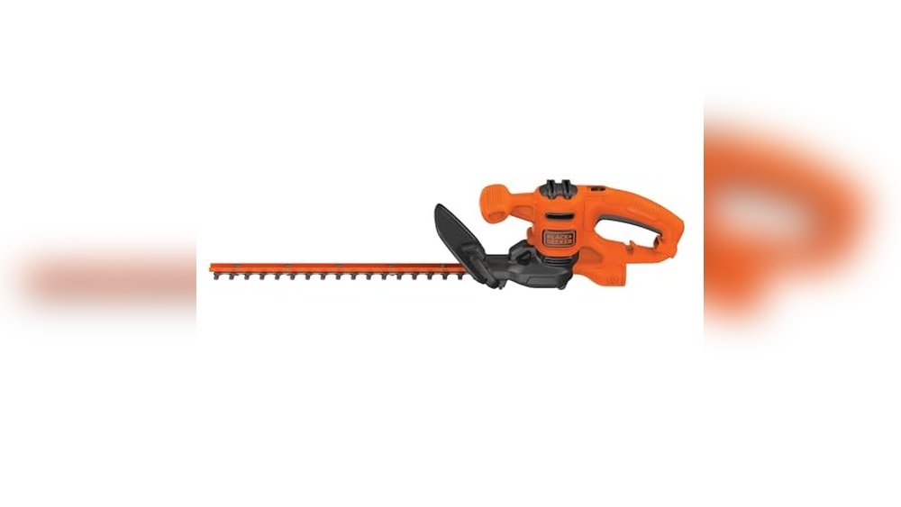 Hedge Trimmer for Beginners