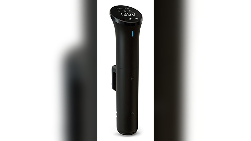 Best Budget Sous Vide Machine