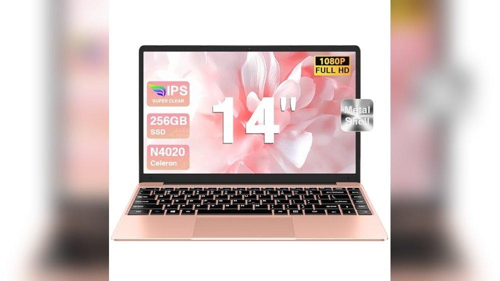 Best Budget Laptop for Programming